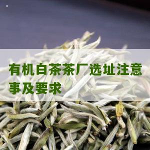 有机白茶茶厂选址注意事及要求