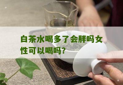 白茶水喝多了会胖吗女性可以喝吗？