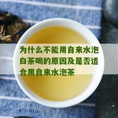 为什么不能用自来水泡白茶喝的原因及是否适合用自来水泡茶