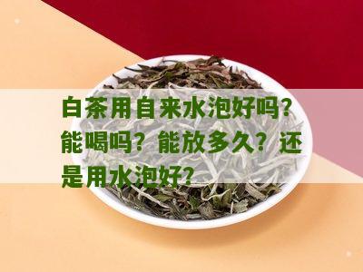 白茶用自来水泡好吗？能喝吗？能放多久？还是用水泡好？