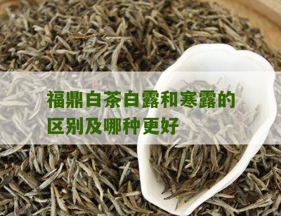 福鼎白茶白露和寒露的区别及哪种更好