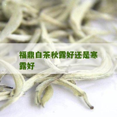 福鼎白茶秋露好还是寒露好