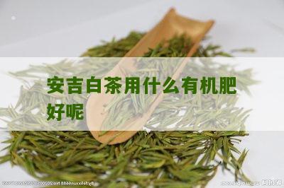 安吉白茶用什么有机肥好呢