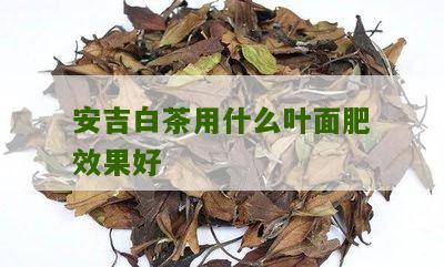 安吉白茶用什么叶面肥效果好