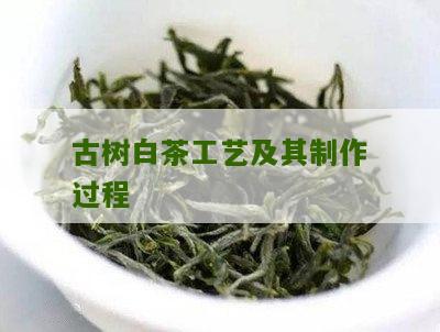 古树白茶工艺及其制作过程