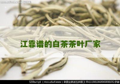 江靠谱的白茶茶叶厂家