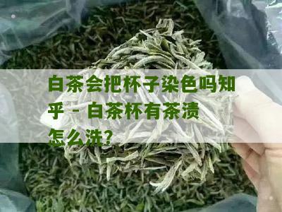 白茶会把杯子染色吗知乎 - 白茶杯有茶渍怎么洗？