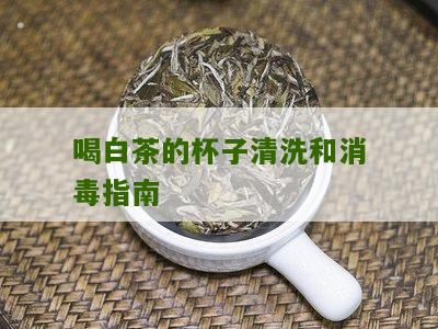 喝白茶的杯子清洗和消毒指南