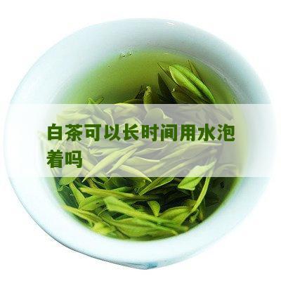 白茶可以长时间用水泡着吗