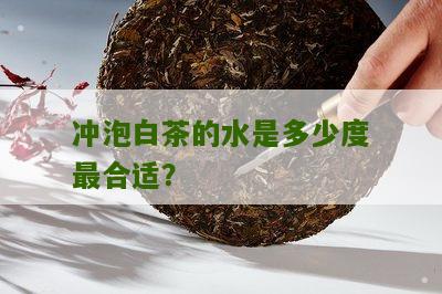 冲泡白茶的水是多少度最合适？