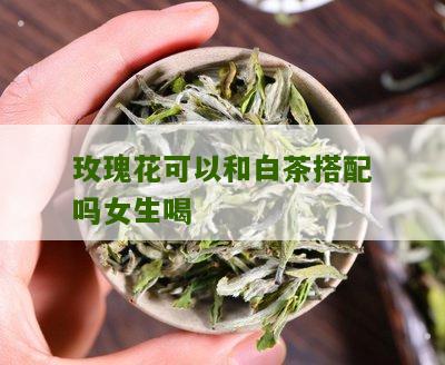 玫瑰花可以和白茶搭配吗女生喝