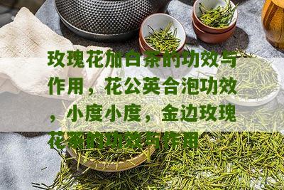 玫瑰花加白茶的功效与作用，花公英合泡功效，小度小度，金边玫瑰花茶的功效与作用