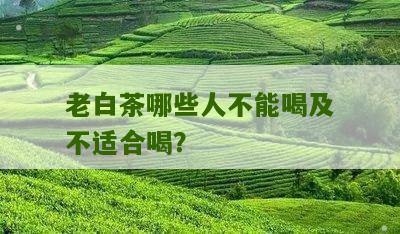 老白茶哪些人不能喝及不适合喝？