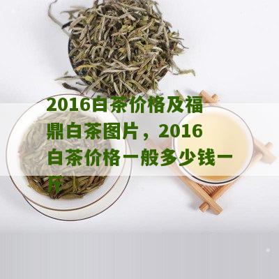 2016白茶价格及福鼎白茶图片，2016白茶价格一般多少钱一斤