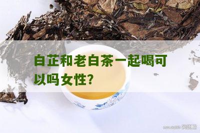 白芷和老白茶一起喝可以吗女性？