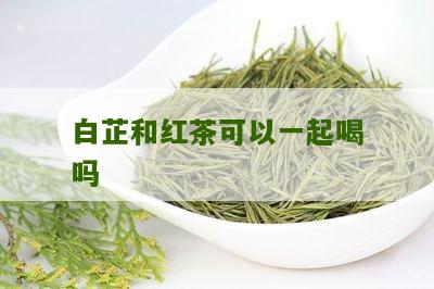 白芷和红茶可以一起喝吗