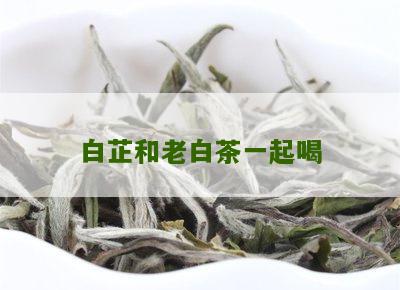 白芷和老白茶一起喝