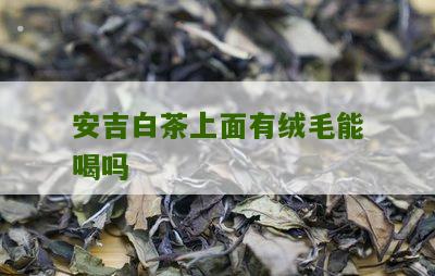 安吉白茶上面有绒毛能喝吗