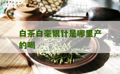 白茶白毫银针是哪里产的喝