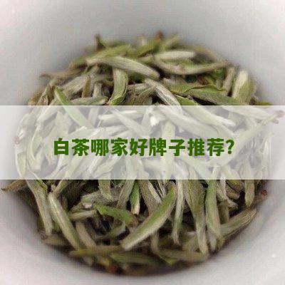 白茶哪家好牌子推荐？