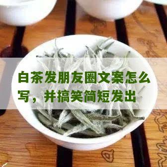 白茶发朋友圈文案怎么写，并搞笑简短发出