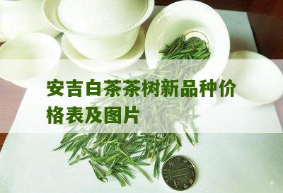 安吉白茶茶树新品种价格表及图片