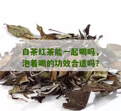 白茶红茶能一起喝吗，泡着喝的功效合适吗？