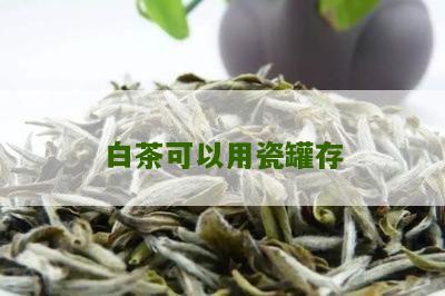 白茶可以用瓷罐存