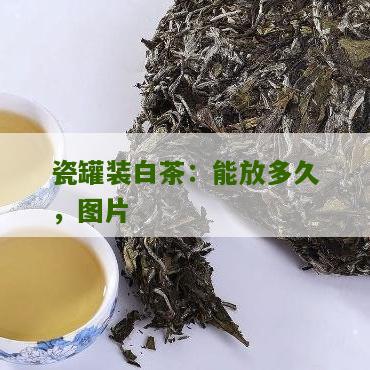 瓷罐装白茶：能放多久，图片