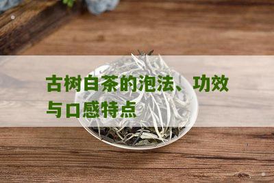 古树白茶的泡法、功效与口感特点