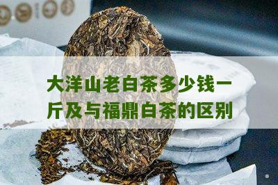 大洋山老白茶多少钱一斤及与福鼎白茶的区别