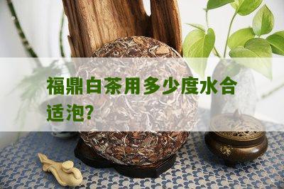 福鼎白茶用多少度水合适泡？