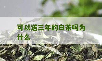 可以送三年的白茶吗为什么