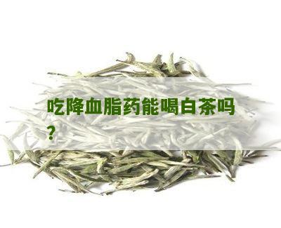 吃降血脂药能喝白茶吗？