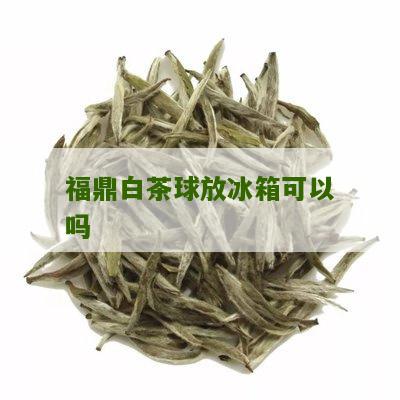 福鼎白茶球放冰箱可以吗