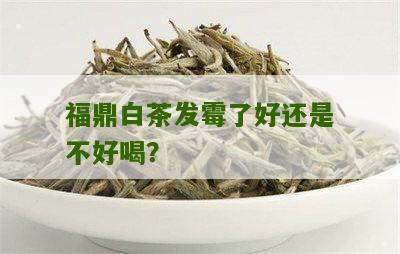 福鼎白茶发霉了好还是不好喝？