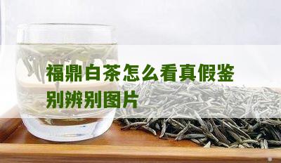 福鼎白茶怎么看真假鉴别辨别图片