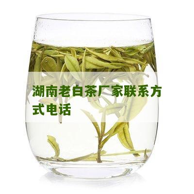 湖南老白茶厂家联系方式电话