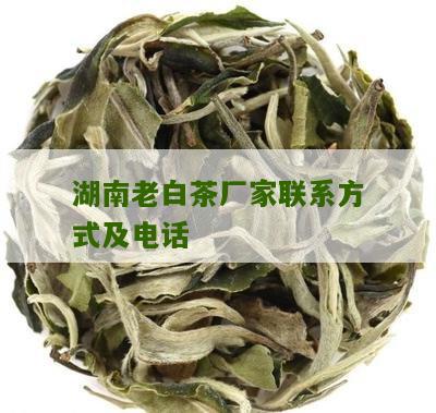 湖南老白茶厂家联系方式及电话