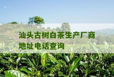 汕头古树白茶生产厂商地址电话查询