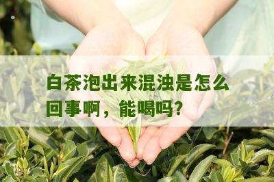 白茶泡出来混浊是怎么回事啊，能喝吗？