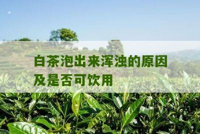 白茶泡出来浑浊的原因及是否可饮用