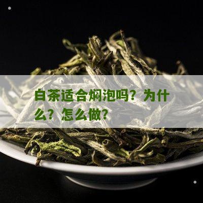 白茶适合焖泡吗？为什么？怎么做？