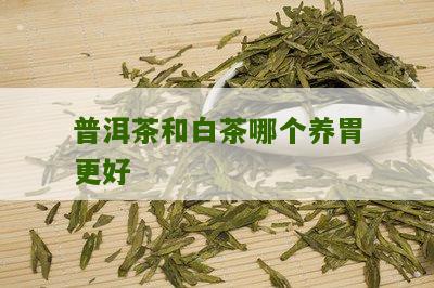 普洱茶和白茶哪个养胃更好