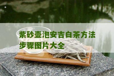 紫砂壶泡安吉白茶方法步骤图片大全