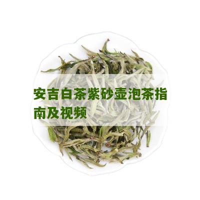 安吉白茶紫砂壶泡茶指南及视频