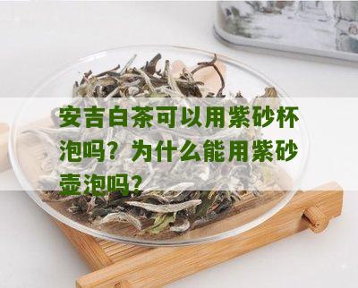 安吉白茶可以用紫砂杯泡吗？为什么能用紫砂壶泡吗？