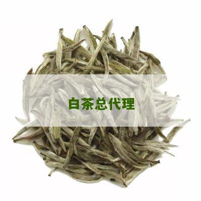 白茶总代理