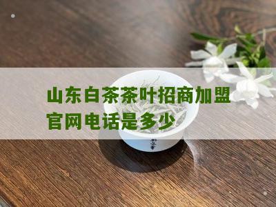 山东白茶茶叶招商加盟官网电话是多少