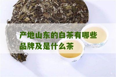 产地山东的白茶有哪些品牌及是什么茶